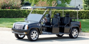 affordable golf cart rental, golf cart rent palm coast, cart rental palm coast