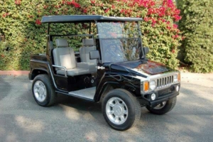 affordable golf cart rental, golf cart rent palm coast, cart rental palm coast