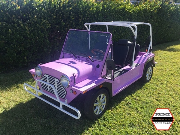 affordable golf cart rental, golf cart rent palm coast, cart rental palm coast