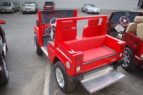affordable golf cart rental, golf cart rent palm coast, cart rental palm coast
