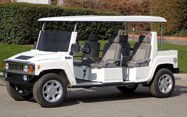 affordable golf cart rental, golf cart rent palm coast, cart rental palm coast