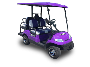 golf car rental palm coast, golf cart rental near me, cart rental palm coast